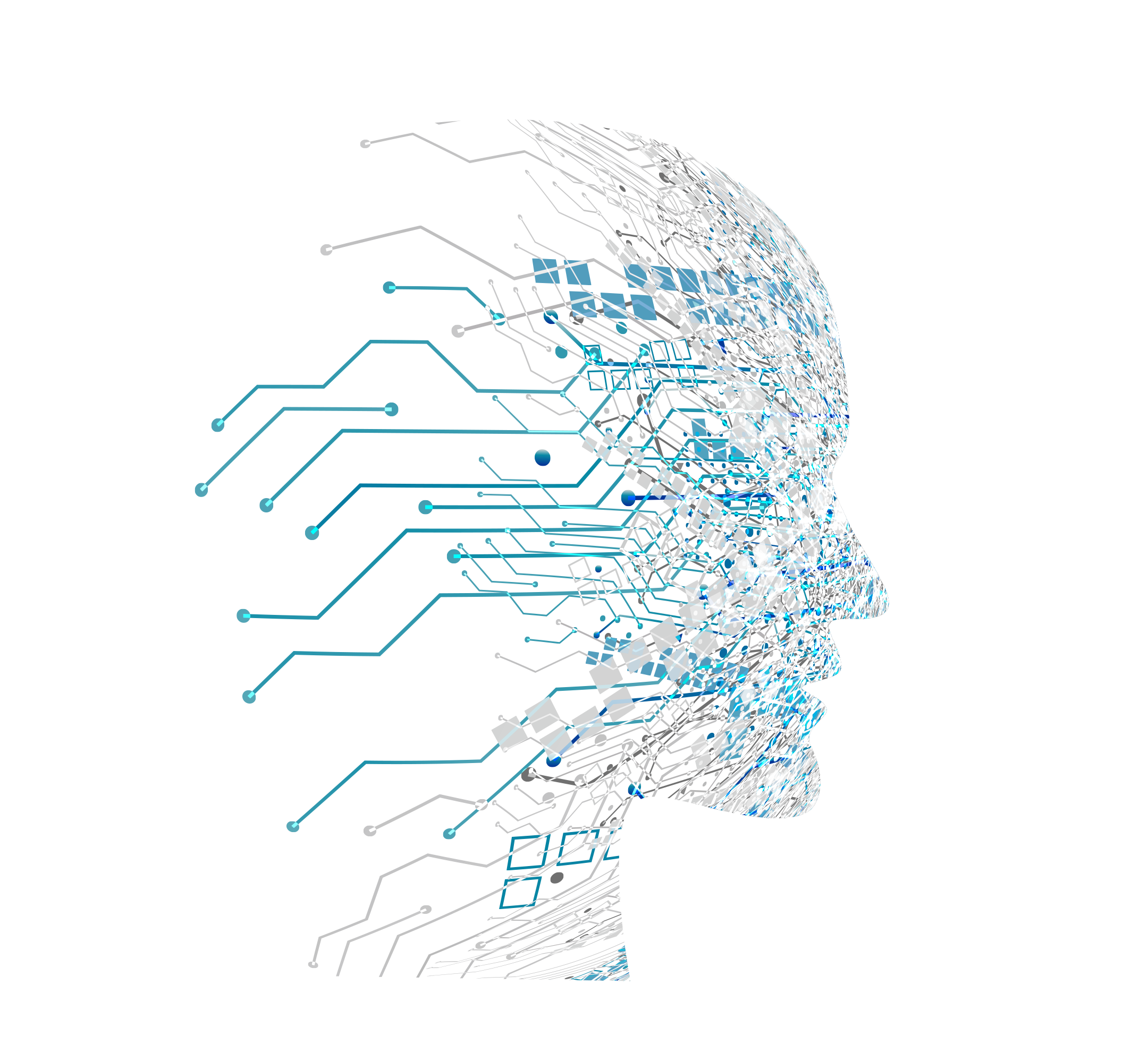 Neurofeedback Dynamique dans l'Orne